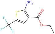 Ethyl 2-amino-5-(trifluoromethyl)thiophene-3-carboxylate