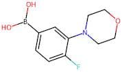 (4-Fluoro-3-morpholinophenyl)boronic acid