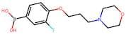 (3-fluoro-4-(3-morpholinopropoxy)phenyl)boronic acid