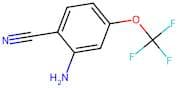 2-Amino-4-(trifluoromethoxy)benzonitrile