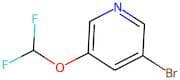 3-Bromo-5-(difluoromethoxy)pyridine