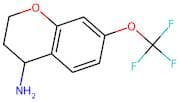7-(Trifluoromethoxy)chroman-4-amine