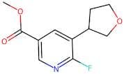 Methyl 6-fluoro-5-(tetrahydrofuran-3-yl)nicotinate