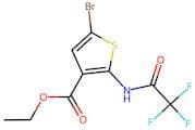 Ethyl 5-bromo-2-(2,2,2-trifluoroacetamido)thiophene-3-carboxylate