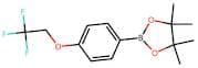 4,4,5,5-Tetramethyl-2-(4-(2,2,2-trifluoroethoxy)phenyl)-1,3,2-dioxaborolane