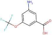 3-Amino-5-(trifluoromethoxy)benzoic acid