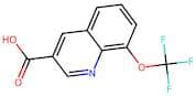 8-(Trifluoromethoxy)quinoline-3-carboxylic acid