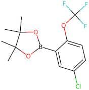 2-(5-Chloro-2-(trifluoromethoxy)phenyl)-4,4,5,5-tetramethyl-1,3,2-dioxaborolane