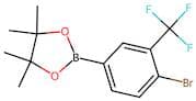 2-(4-Bromo-3-(trifluoromethyl)phenyl)-4,4,5,5-tetramethyl-1,3,2-dioxaborolane