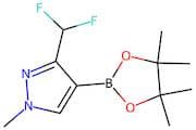 3-(Difluoromethyl)-1-methyl-4-(4,4,5,5-tetramethyl-1,3,2-dioxaborolan-2-yl)-1H-pyrazole