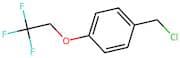1-(Chloromethyl)-4-(2,2,2-trifluoroethoxy)benzene