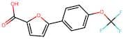 5-[4-(Trifluoromethoxy)phenyl]furan-2-carboxylic Acid