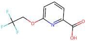 6-(2,2,2-Trifluoroethoxy)picolinic acid
