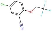 5-Chloro-2-(2,2,2-trifluoroethoxy)benzonitrile