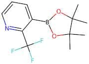 3-(4,4,5,5-Tetramethyl-1,3,2-dioxaborolan-2-yl)-2-(trifluoromethyl)pyridine