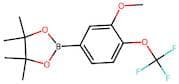 2-[3-Methoxy-4-(trifluoromethoxy)phenyl]-4,4,5,5-tetramethyl-1,3,2-dioxaborolane