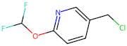 5-(Chloromethyl)-2-(difluoromethoxy)pyridine