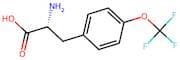 (R)-2-Amino-3-(4-(trifluoromethoxy)phenyl)propanoic acid