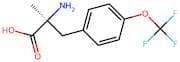 (S)-2-Amino-2-methyl-3-(4-(trifluoromethoxy)phenyl)propanoic acid