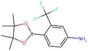 4-(4,4,5,5-Tetramethyl-1,3,2-dioxaborolan-2-yl)-3-(trifluoromethyl)aniline