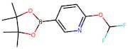 2-(Difluoromethoxy)-5-(4,4,5,5-tetramethyl-1,3,2-dioxaborolan-2-yl)pyridine
