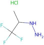 (1,1,1-Trifluoropropan-2-yl)hydrazine hydrochloride