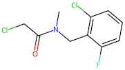 2-Chloro-N-(2-chloro-6-fluorobenzyl)-N-methylacetamide