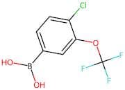 (4-Chloro-3-(trifluoromethoxy)phenyl)boronic acid