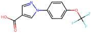 1-(4-(Trifluoromethoxy)phenyl)-1H-pyrazole-4-carboxylic acid