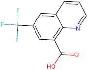 6-(Trifluoromethyl)quinoline-8-carboxylic acid
