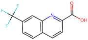 7-(Trifluoromethyl)quinoline-2-carboxylic acid