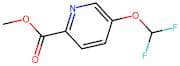 Methyl 5-(difluoromethoxy)picolinate