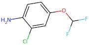 2-Chloro-4-(difluoromethoxy)aniline