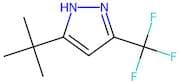 5-tert-Butyl-3-(trifluoromethyl)-1H-pyrazole