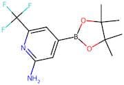 4-(4,4,5,5-Tetramethyl-1,3,2-dioxaborolan-2-yl)-6-(trifluoromethyl)pyridin-2-amine