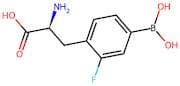 (S)-2-amino-3-(4-borono-2-fluorophenyl)propanoic acid