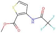 Methyl 3-(2,2,2-trifluoroacetamido)thiophene-2-carboxylate