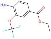 Ethyl 4-amino-3-(trifluoromethoxy)benzoate
