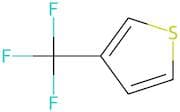 3-(Trifluoromethyl)thiophene