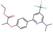 2-[4-(6-Dimethylamino-4-trifluoromethyl-pyridin-2-yl)-phenoxy]-propionic acid ethyl ester