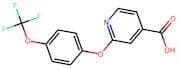 2-(4-Trifluoromethoxy-phenoxy)isonicotinic acid