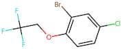 2-Bromo-4-chloro-1-(2,2,2-trifluoro-ethoxy)-benzene