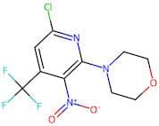 4-(6-Chloro-3-nitro-4-trifluoromethyl-pyridin-2-yl)-morpholine