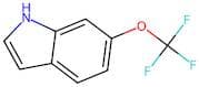 6-(Trifluoromethoxy)Indole