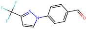 4-[3-(Trifluoromethyl)-1H-pyrazol-1-yl]benzaldehyde