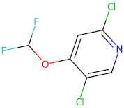 2,5-Dichloro-4-(difluoromethoxy)pyridine
