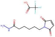 6-(2,5-Dioxo-2,5-Dihydro-1H-Pyrrol-1-Yl)Hexanehydrazide 2,2,2-Trifluoroacetate