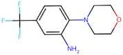 N-[2-Amino-4-(trifluoromethyl)phenyl]morpholine