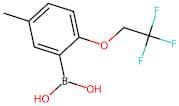 [5-Methyl-2-(2,2,2-trifluoroethoxy)phenyl]boranediol