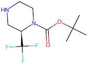 (R)-2-Trifluoromethyl-piperazine-1-carboxylic acid tert-butyl ester